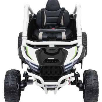 Kawasaki Teryx Krx1000 Buggy Siva 10
