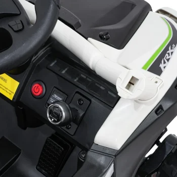 Kawasaki Teryx Krx1000 Buggy Siva 14