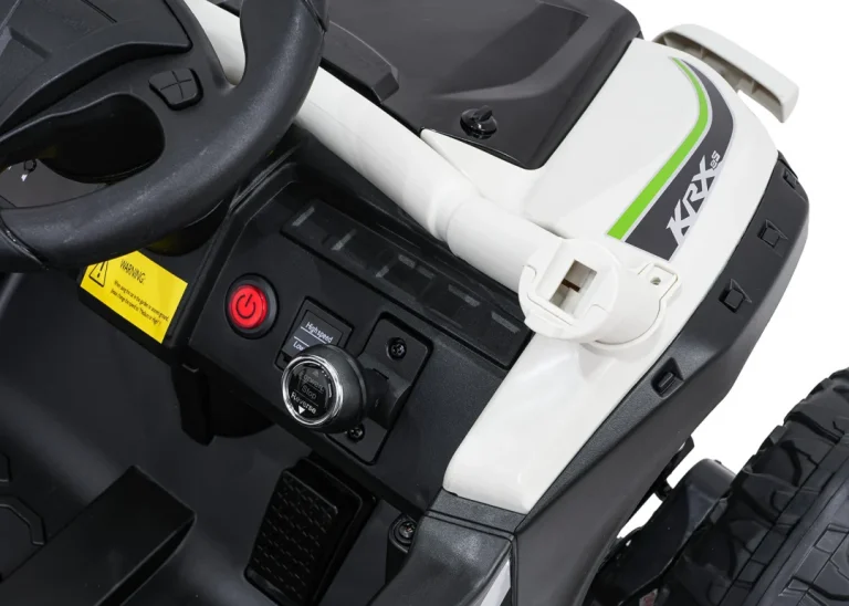 Kawasaki Teryx Krx1000 Buggy Siva 14