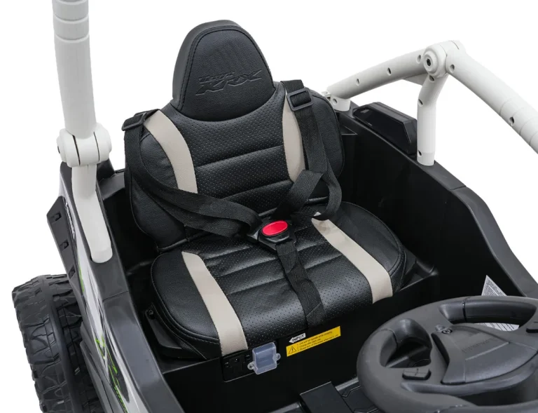 Kawasaki Teryx Krx1000 Buggy Siva 16