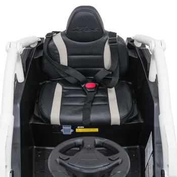 Kawasaki Teryx Krx1000 Buggy Siva 17
