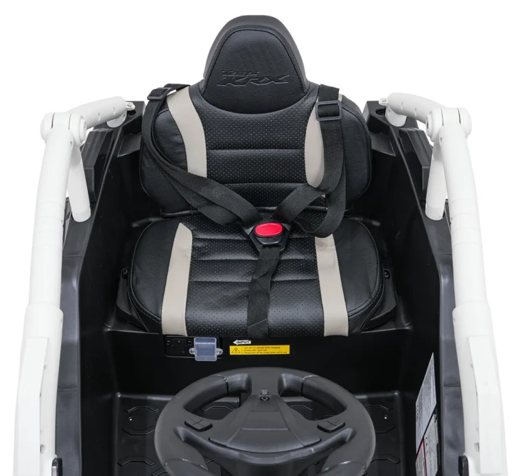 Kawasaki Teryx Krx1000 Buggy Siva 17