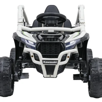 Kawasaki Teryx Krx1000 Buggy Siva 3