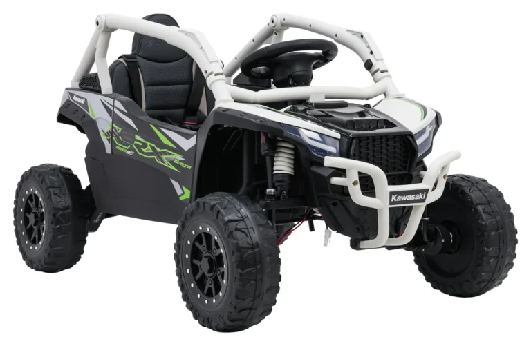 Kawasaki Teryx Krx1000 Buggy Siva 4