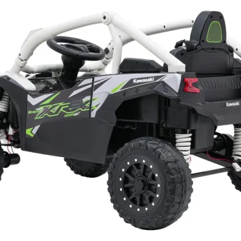 Kawasaki Teryx Krx1000 Buggy Siva 7