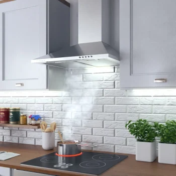 Kuhinjska Napa S Dimnjakom Berdsen Bt 213 60 Cm Inox 6