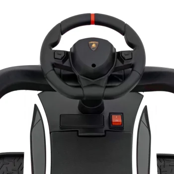 Lamborghini Aventador Sv Guralica Bijela 13