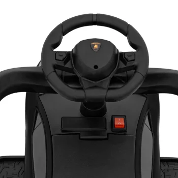 Lamborghini Aventador Sv Guralica Crna 11