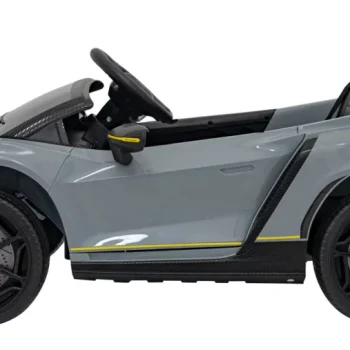Lamborghini Invencible Sivo Vozilo 12