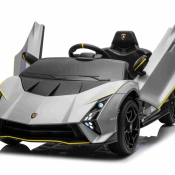 Lamborghini Invencible Sivo Vozilo 15