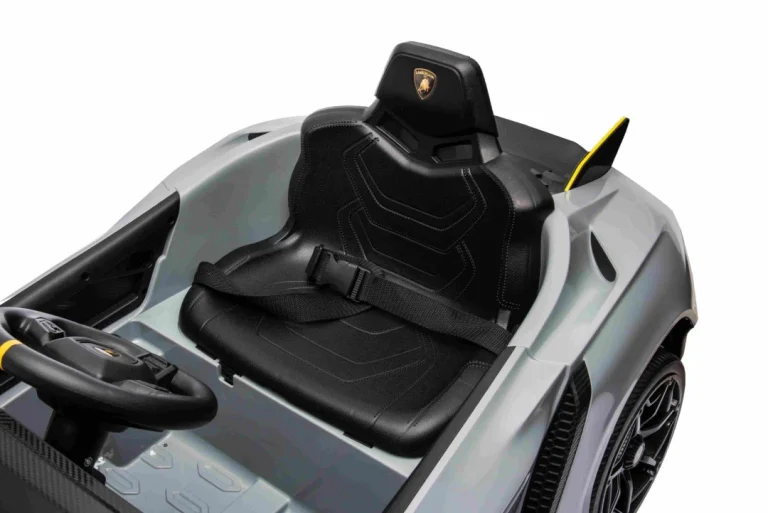 Lamborghini Invencible Sivo Vozilo 21