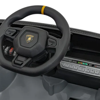 Lamborghini Invencible Sivo Vozilo 22