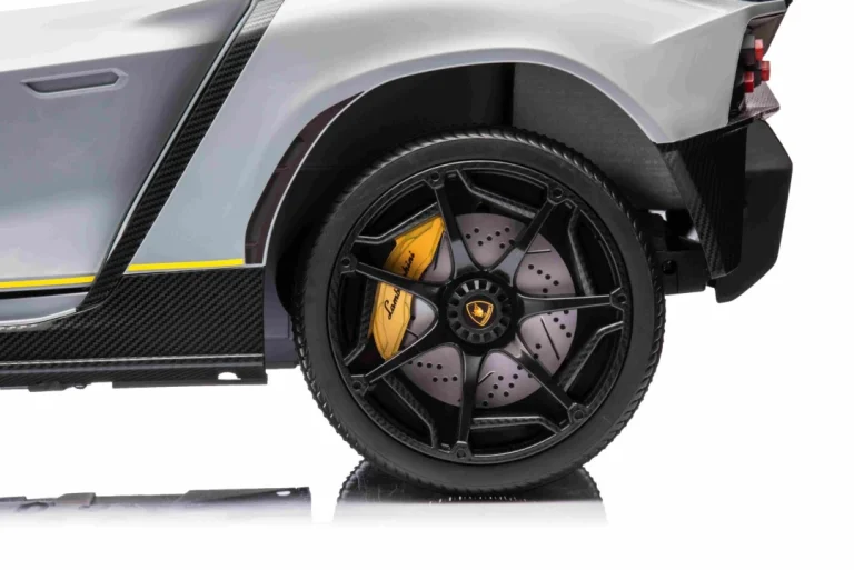 Lamborghini Invencible Sivo Vozilo 23