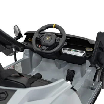 Lamborghini Invencible Sivo Vozilo 24