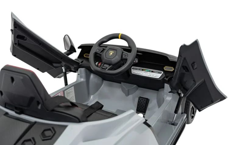 Lamborghini Invencible Sivo Vozilo 24