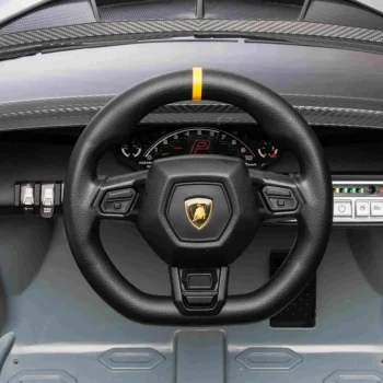 Lamborghini Invencible Sivo Vozilo 27