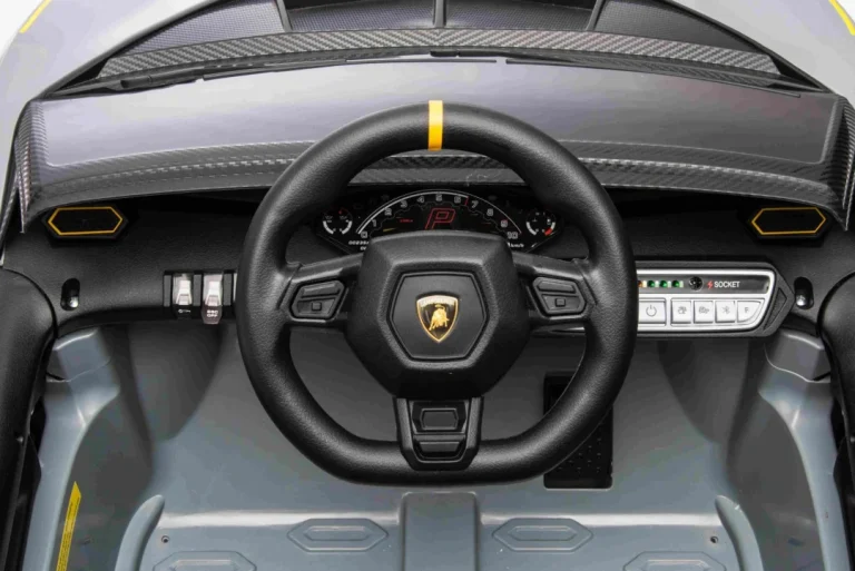 Lamborghini Invencible Sivo Vozilo 27
