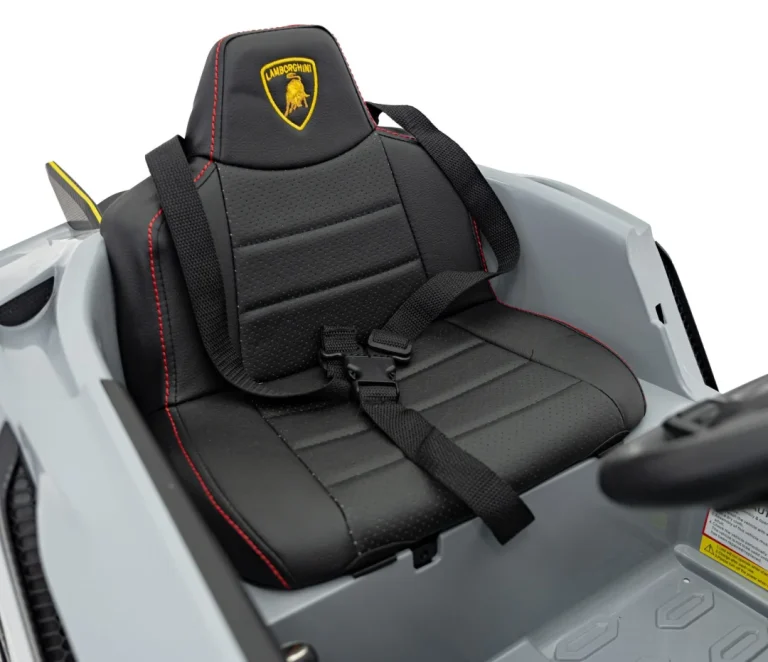 Lamborghini Invencible Sivo Vozilo 28