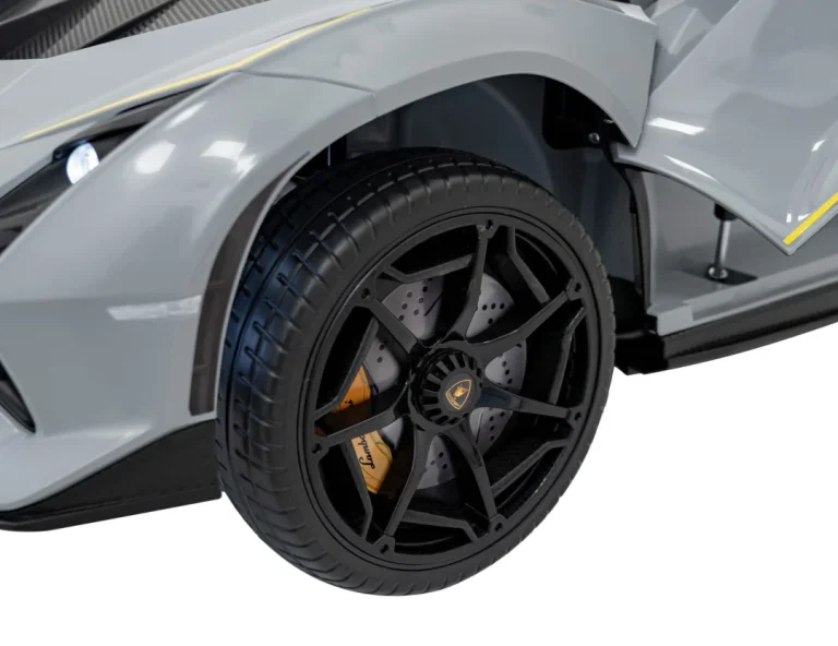 Lamborghini Invencible Sivo Vozilo 30