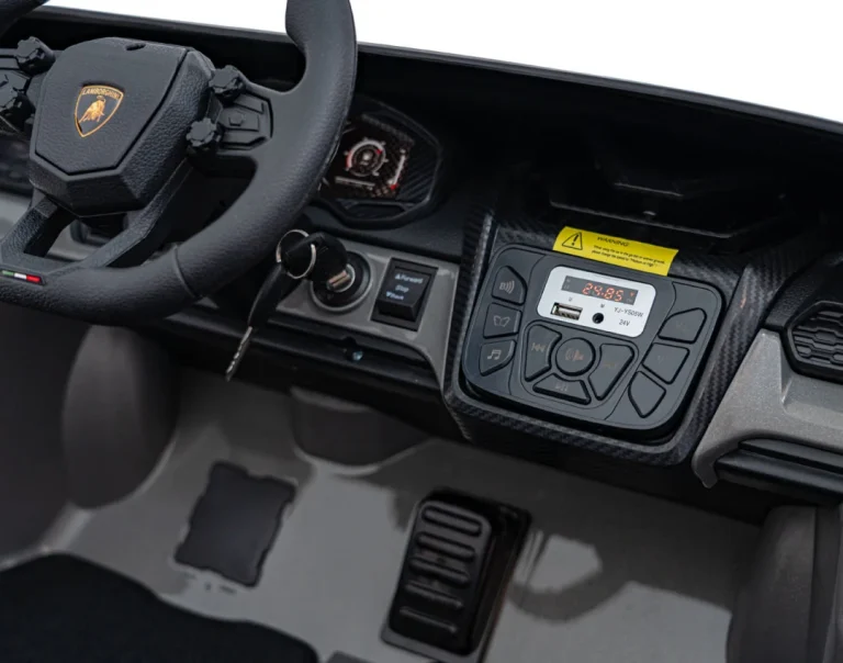 Lamborghini Revuelto Xl Sivo Vozilo 18