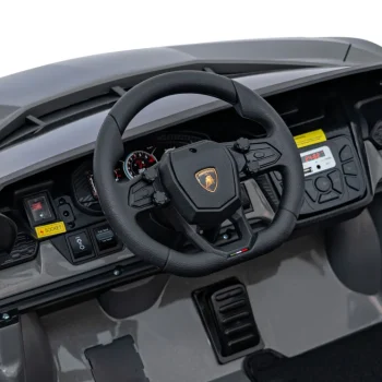 Lamborghini Revuelto Xl Sivo Vozilo 21