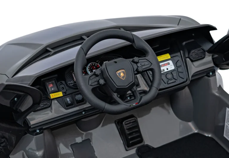 Lamborghini Revuelto Xl Sivo Vozilo 21
