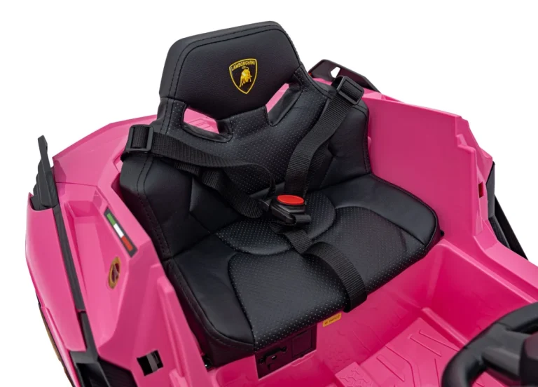 Lamborghini Sian Ružičasto Vozilo (15390) 24