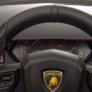 Lamborghini Sian Ružičasto Vozilo (15390) 47