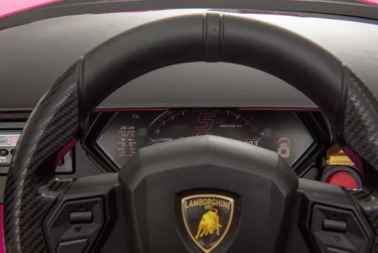 Lamborghini Sian Ružičasto Vozilo (15390) 47