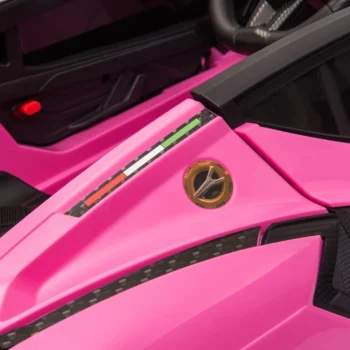 Lamborghini Sian Ružičasto Vozilo (15390) 58