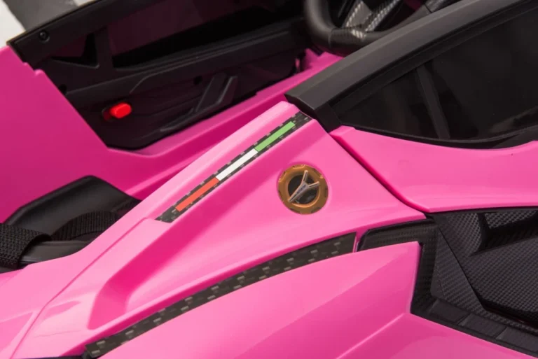 Lamborghini Sian Ružičasto Vozilo (15390) 58