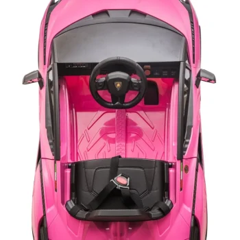 Lamborghini Sian Ružičasto Vozilo (15390) 63