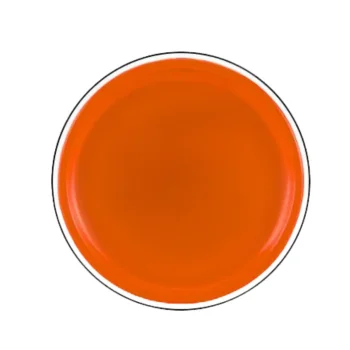 Leteći Disk Frizbi S Dinosaurom Narančasti Ø 20 Cm 3