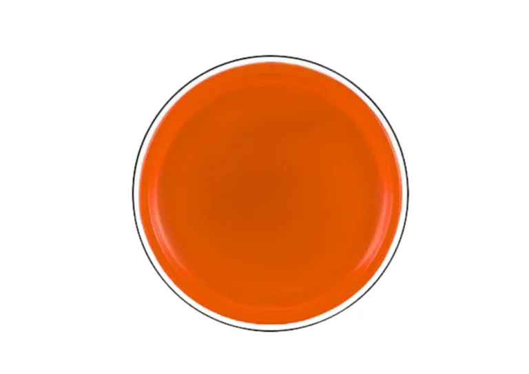 Leteći Disk Frizbi S Dinosaurom Narančasti Ø 20 Cm 3