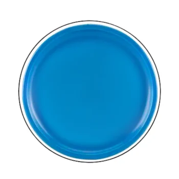 Leteći Disk Frizbi S Dinosaurom Plavi Ø 20 Cm 3