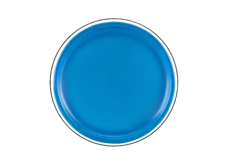 Leteći Disk Frizbi S Dinosaurom Plavi Ø 20 Cm 3