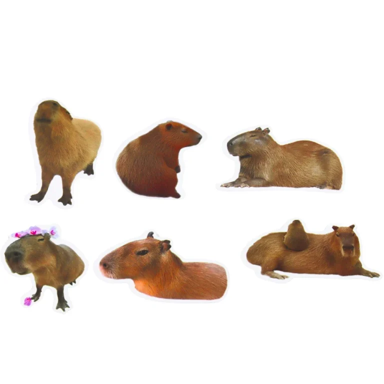 Naljepnice Capybara S Fotografijama, 50 Komada 3