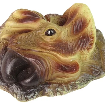 Obrazovni Komplet Za Iskapanje Dinosaura Triceratopsa 3