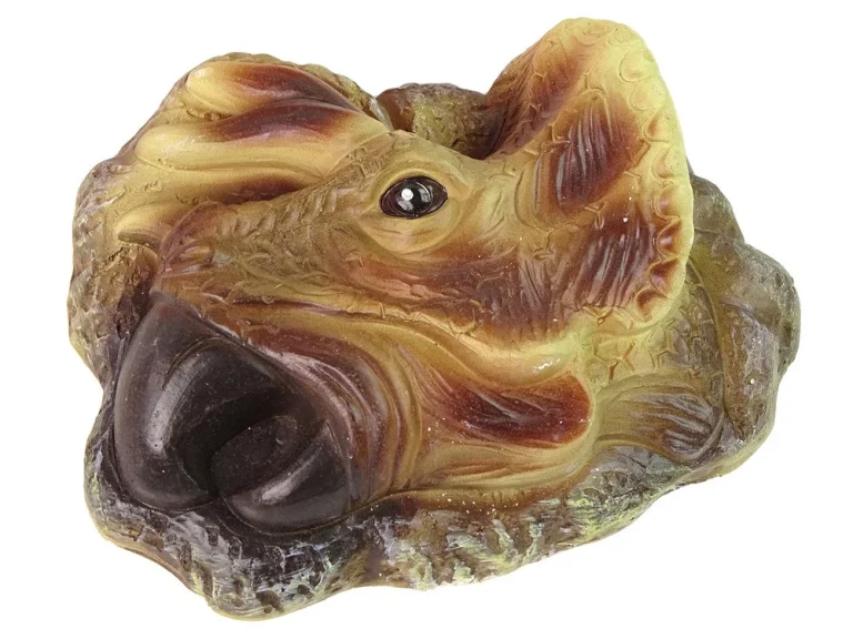 Obrazovni Komplet Za Iskapanje Dinosaura Triceratopsa 3