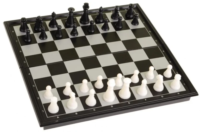 Ogroman Set 18 U 1 Magnetskih Društvenih Igara Za Djecu I Odrasle + Pribor 3