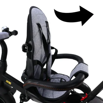 Pro550 Sivi Tricikl 11