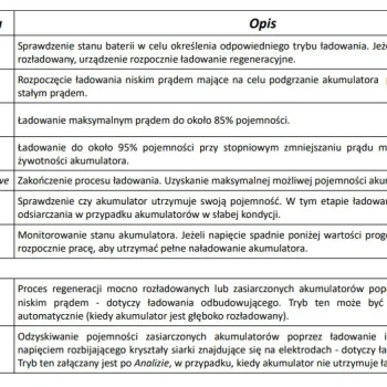Punjač Akumulatora Lcd 12v/24v S Odsumporavanjem 5