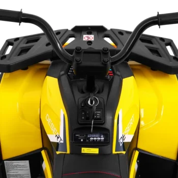 Quad Atv Pustinjska žuta 9
