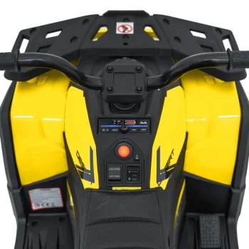 Quad Atv Robust 01 Žuti, žuta 13