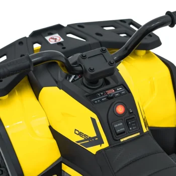 Quad Atv Robust 01 Žuti, žuta 17