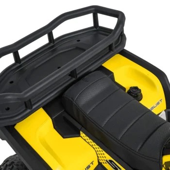 Quad Atv Robust 01 Žuti, žuta 19