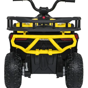 Quad Atv Robust 01 Žuti, žuta 9