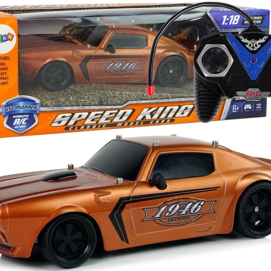 R/c Sportski Automobil 1:18 Smeđi Champion Pilot 1