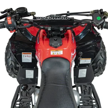 Renegade 110cc Benzinski Quad Crveni 12