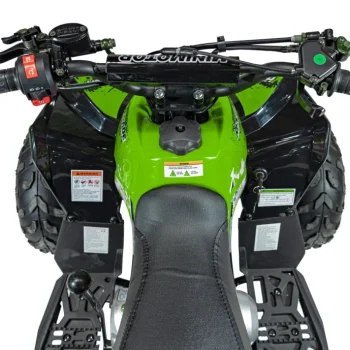 Renegade 110cc Benzinski Quad Zeleni 11